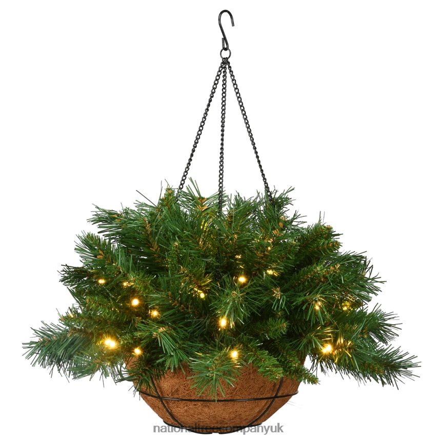 Greenery | National Tree Company Pre-Lit Artificial Christmas Hanging Basket Tiffany Fir Decorated With Frosted Pine Cones Berry Clusters White Lights Christmas Collection 20 Inches F2L4F509
